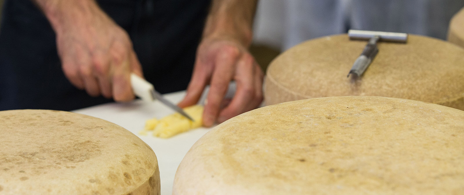 Chippewa Valley Cheese Corporation Cheesemakers Wisconsin Cheese